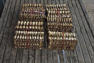 Dried packaged fish ready for shipping