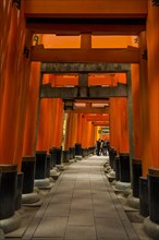 Torii or gates leading to the inner shrine
