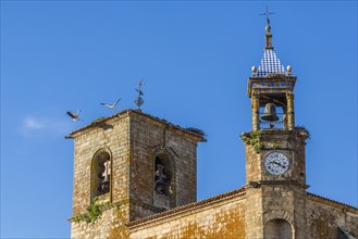 White Stork nests on the roof of the church of Santa Maria la Mayor