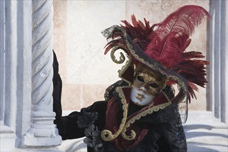 Venetian carnival costume and mask