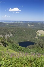 View of lake Feldsee seen from Feldberg mountain