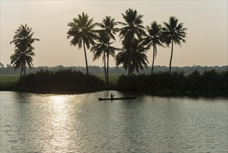 Typical landscape with palmtrees