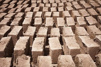 Hand-made adobe bricks drying in the sun
