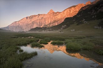 The rocks of the Sagzahn and Sonnwendjoch reflected in a high moor