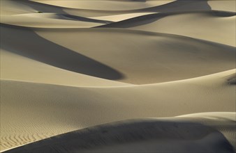 Mesquite Flat Sand Dunes in the evening