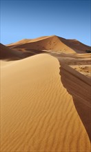 Sahara sand dunes of erg Chebbi