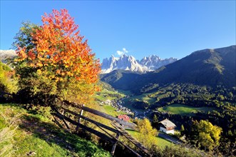 Autumn in Val di Funes valley with the Geisler Peaks in the Dolomites