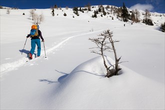 Winter athlete in snowy winter landscape