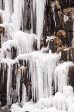 Svartifoss waterfall with icicles on the basaltic columns