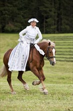 Equestrienne wearing a Venetian costume riding a Welsh Cob