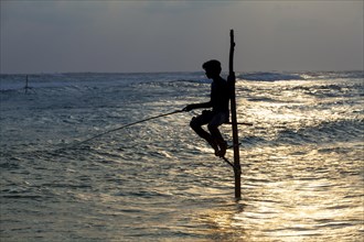 Stilt fisherman fishing in shallow water