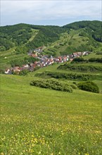View from Mt Badberg of the village of Schelingen