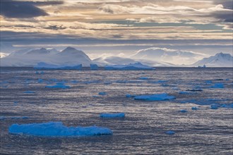 Moody light over the icebergs and glaciers