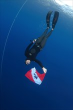 Freediver holds a diver down flag