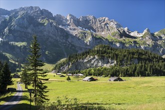 Sunny alpine pasture in Val d'Illiez valley
