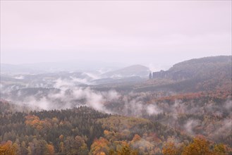 The Nasser Grund in fog in autumn