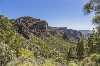 View from a hiking trail near Roque Nublo