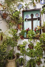 Corner with many potted plants and a cross