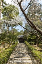 Stairs to Ryoanji Temple Kori