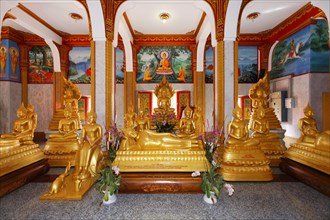 Gilded Buddha statues and reclining Buddhas