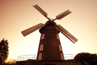 Windmill Scholten