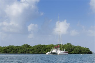 Catamaran in front of an offshore island near Isla Linton
