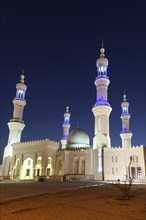 Zayed Mosque at night