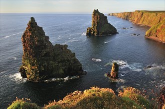 Duncansby Stacks pinnacles in the morning light