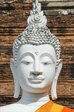 Buddha statue in front of the stupa at Wat Yai Chai Mongkhon