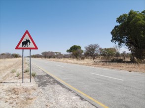 Traffic sign warning of crossing elephants at the B8 at its section through the Bwabwata National Park in the Caprivi strip