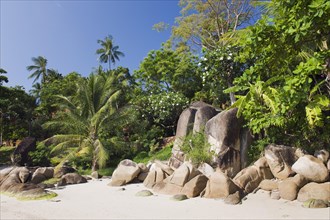 Sandy beach with granite rocks