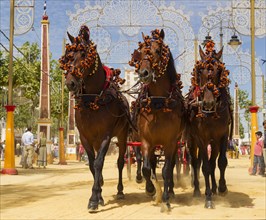 Decorated horses at the Feria del Caballo Horse Fair