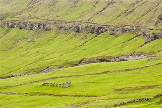 An abandoned farm amidst lush green pastures