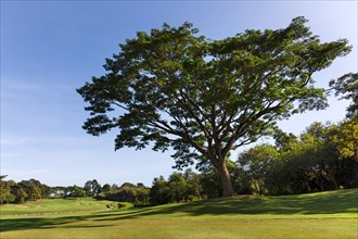 Santiburi Golf Course