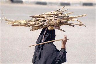 Bedouin woman carrying sugarcane on her head
