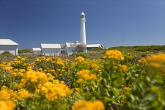 Slangkop Lighthouse