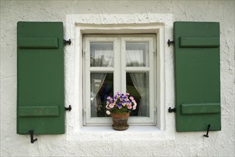Window with green shutters and a flower pot
