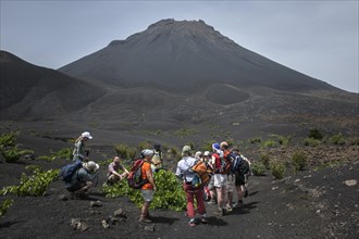 Hikers in front of the volcano Pico do Fogo