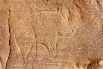 Rock engraving of a rhino
