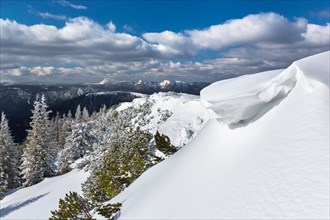 Snow-covered winter forest with overhanging snow at Mt Wildkamm