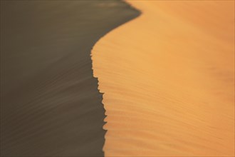 Ridge of a sand dune