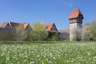 Bauerlinsturm tower with city walls