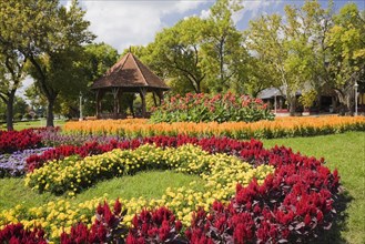 Gazebo and floral displays of red cockscomb (Celosia)
