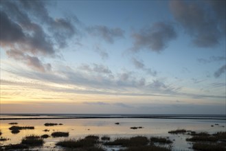 Evening mood in the Wadden Sea National Park