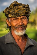 Elderly rice farmer wearing a head scarf