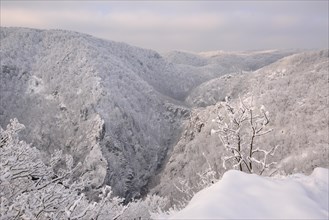 Winter landscape in the Bode Gorge