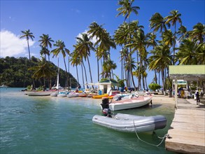 Palms on the sandy beach and boats in Marigot Bay