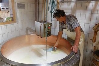 Cheese production in an Alpine dairy