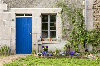 Blue front door and wood window of an old farmhouse in summer