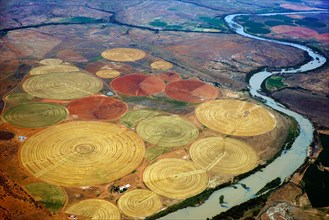 Circular fields on the Orange River